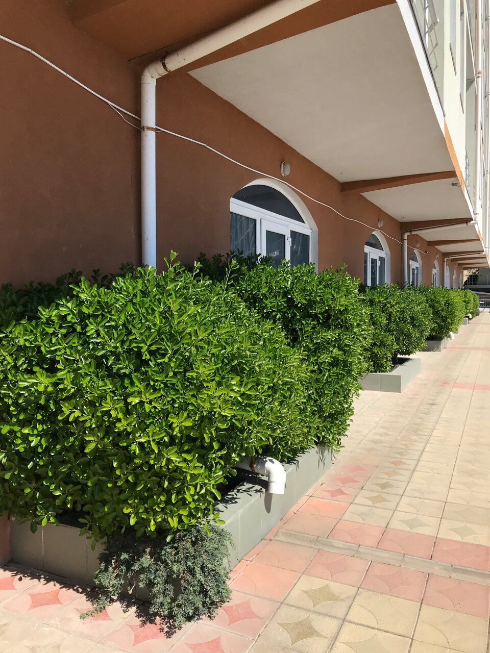 Апартаменты Наутилус Гурзуф-65