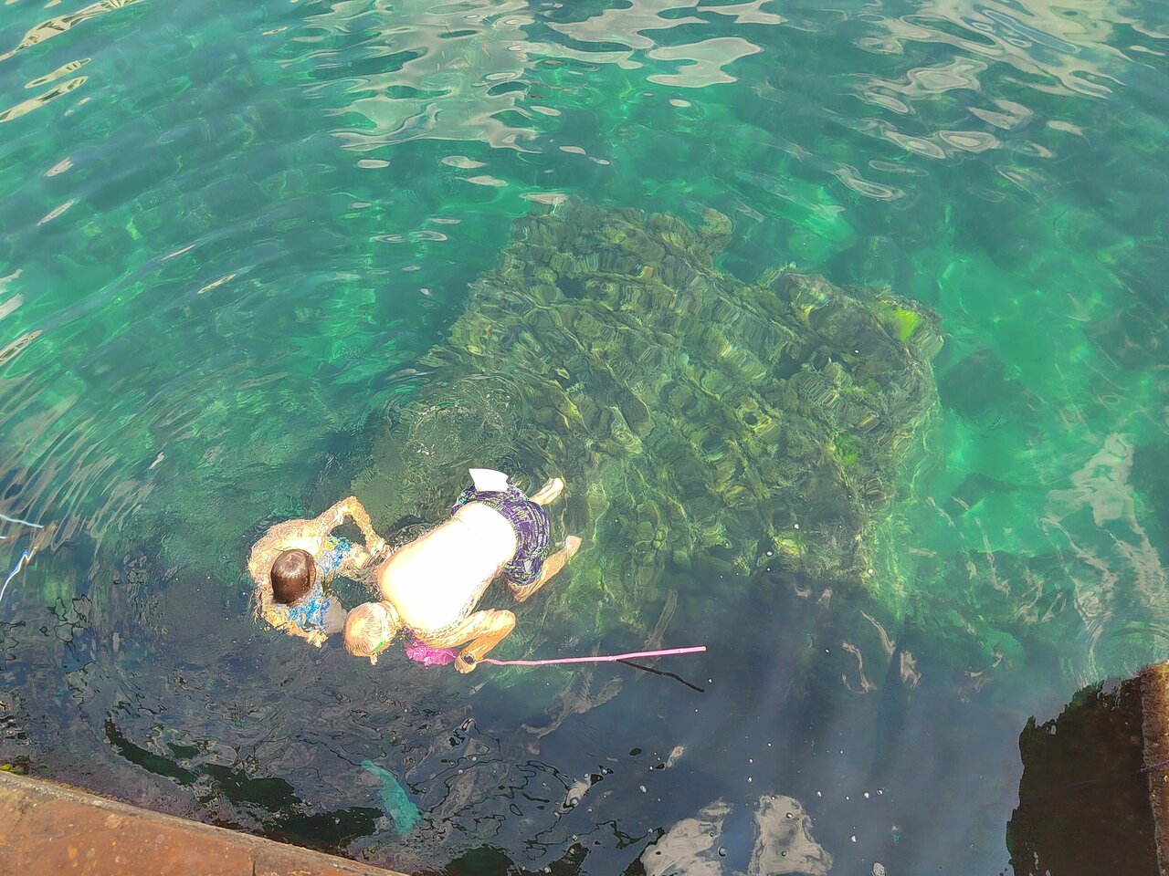 Апартаменты Наутилус Гурзуф-66