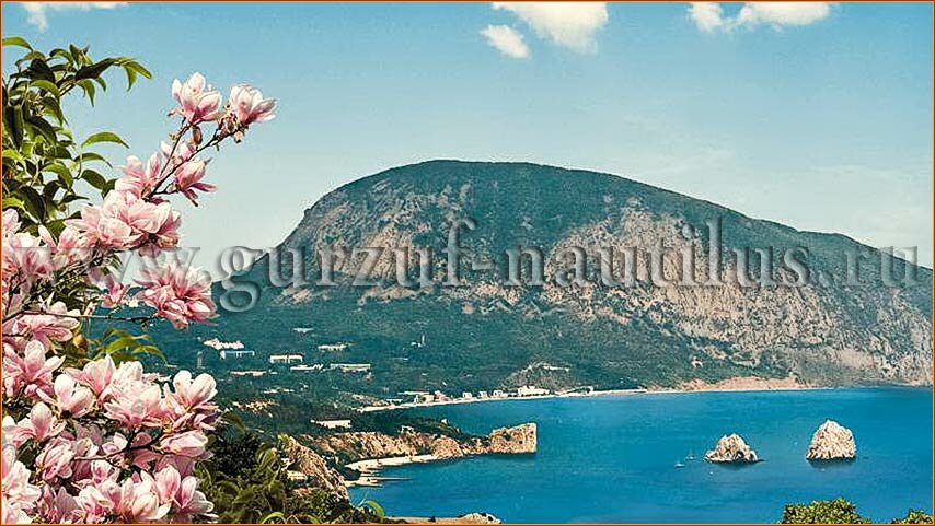 Апартаменты Наутилус Гурзуф-75