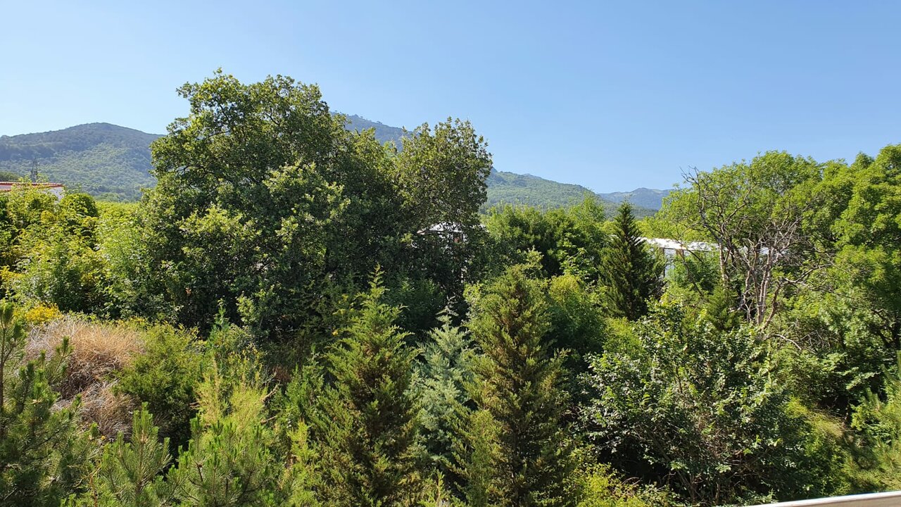 Апартаменты Наутилус Гурзуф-15