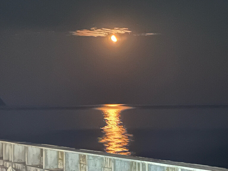 Апартаменты Наутилус Гурзуф-80