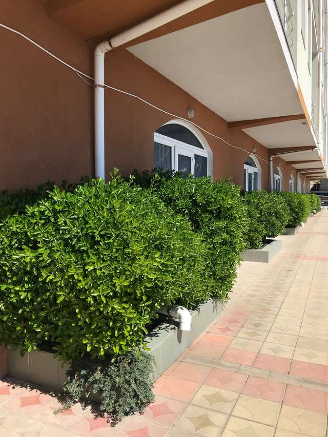 Апартаменты Наутилус Гурзуф-64