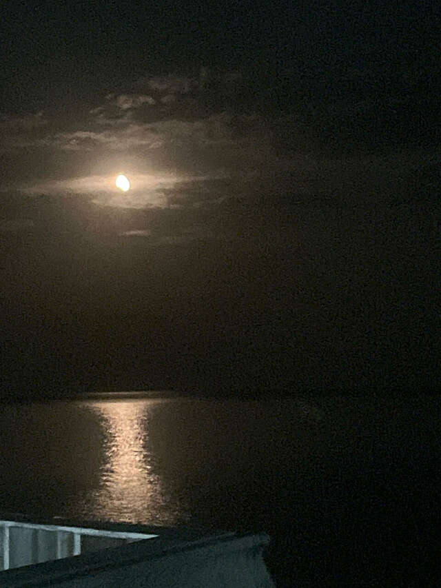 Апартаменты Наутилус Гурзуф-117