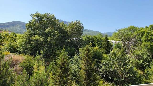 Апартаменты Наутилус Гурзуф-14